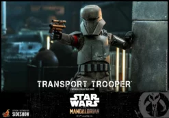 Star Wars Sideshow Mandalorian Transport Trooper Sixth Scale Action Figure By Hot Toys -Brian's Toys Shop transport2 4